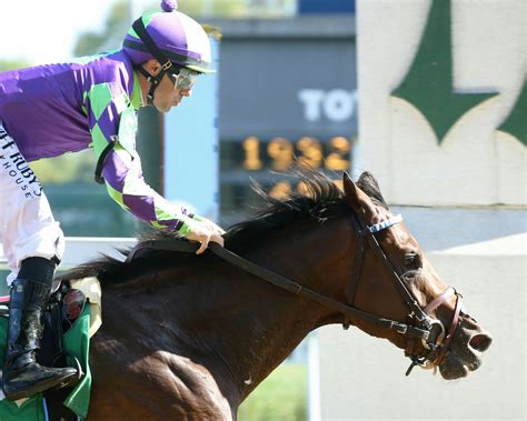 twinspires wiki|TwinSpires Helps Churchill Downs Inc. to Strong Quarter.